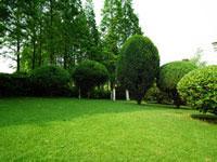 公園綠化養(yǎng)護(hù) 大象園林圖片,公園綠化養(yǎng)護(hù) 大象園林高清圖片 常州大象園林綠化養(yǎng)護(hù)公司,