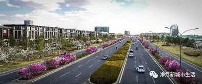 凈月 追夢再出發 今年將投入綠化建設資金8000余萬元,新建公共綠地43公頃 凈月 精品園林勾勒生態 新意境