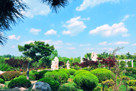 園林綠化景觀