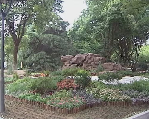 巢湖市園林綠化實現 管養 分離