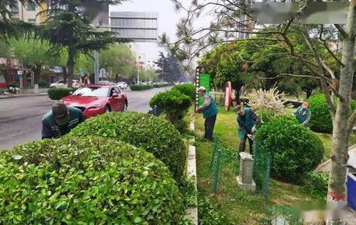 滎陽市園林中心 做好城市園林綠化 扮靚文明城市底色