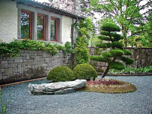 建一棟別墅給盆景 安家