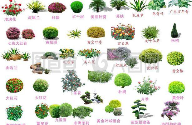 園林綠化素材圖片
