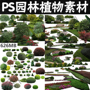 【園林植物造景】最新園林植物造景/批發(fā)報(bào)價(jià)