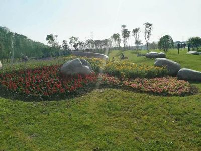 勤勞踏實(shí)的園林人--田田綠化廣場(chǎng)2017年防汛抗旱紀(jì)實(shí)