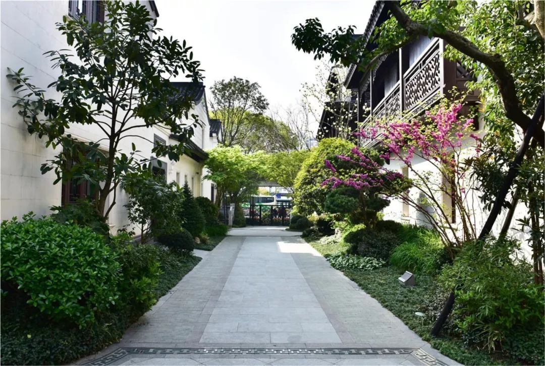 【人文動態】人文園林參加首屆全國園林綠化養護管理產業峰會并作報告