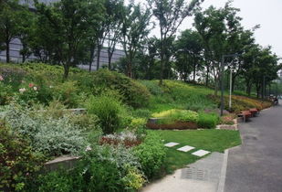 西湖區綠化養護公司 易達園林