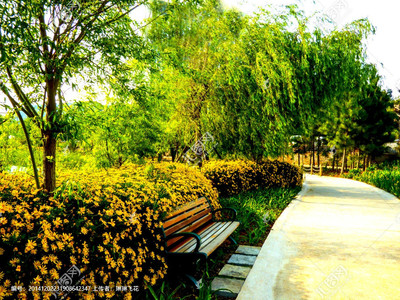 公園 園林