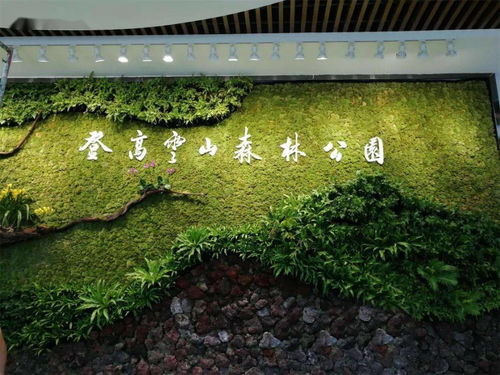 登高云山森林公園立體綠化工程