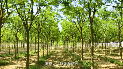 《發現品牌》播出通告 | 廣野園林綠化:城市點綴創造家